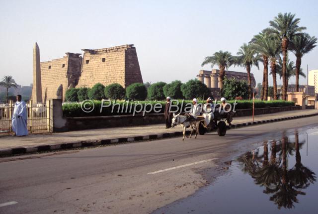 egypte 11.JPG - Temple de Louxor, Egypte